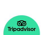 TripAdvisor Certificate